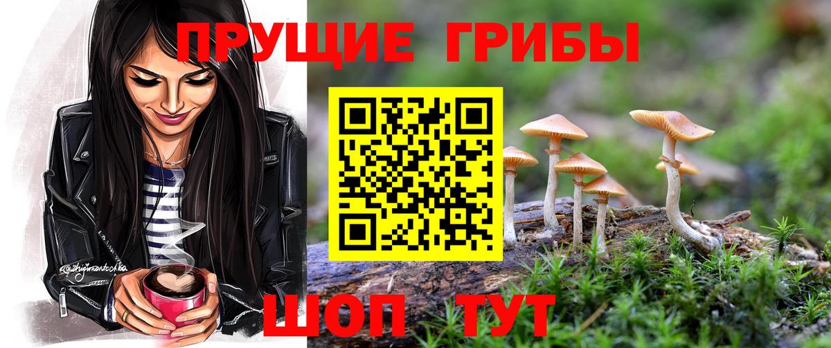 Богородск  Псилоцибиновые грибы мухоморы  Вход с VPN 